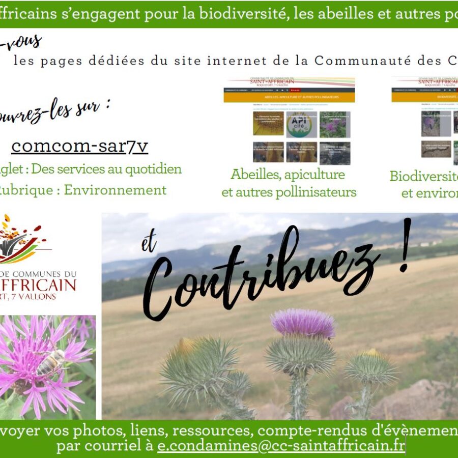 Le label « APIcité démarche exemplaire – 3 abeilles » pour Saint-Affrique