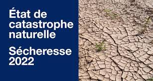 Communiqué Catastrophe naturelle : Sècheresse 2022