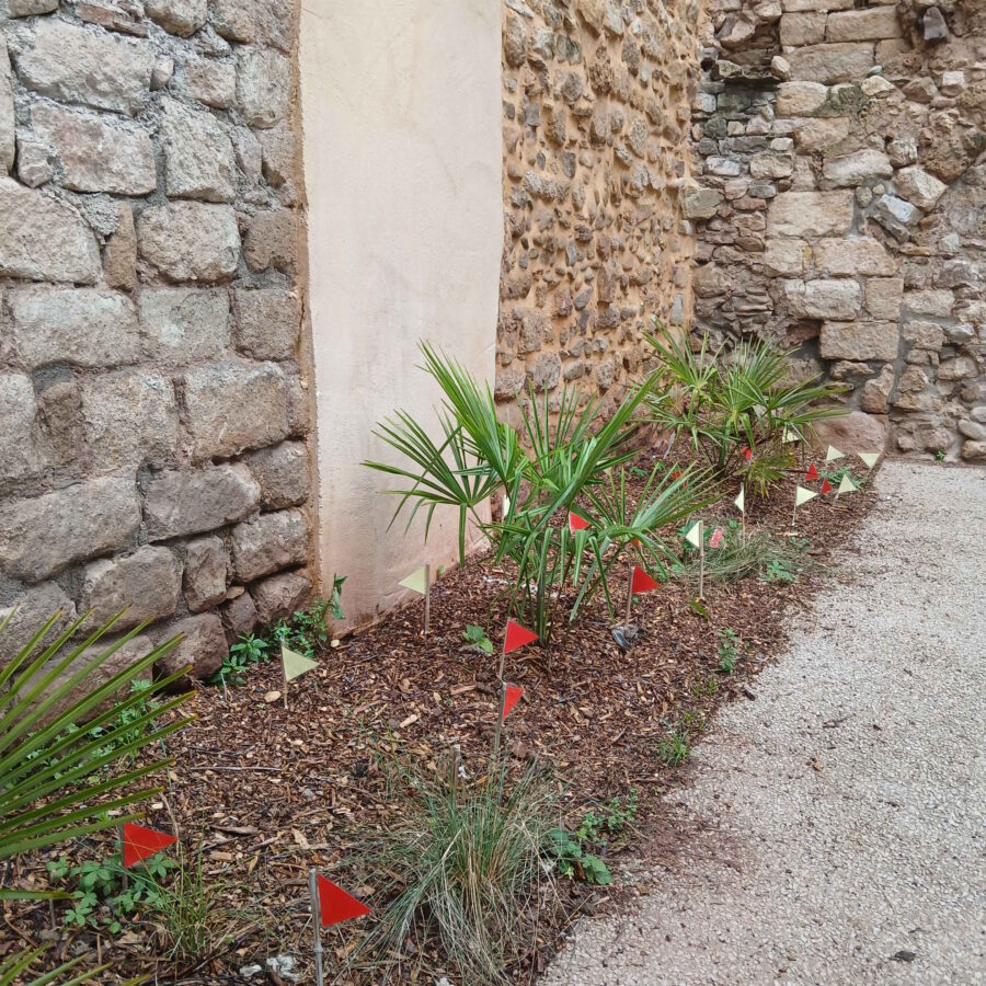 Espaces publics : Du rouge et du jaune dans le vert des plates-bandes