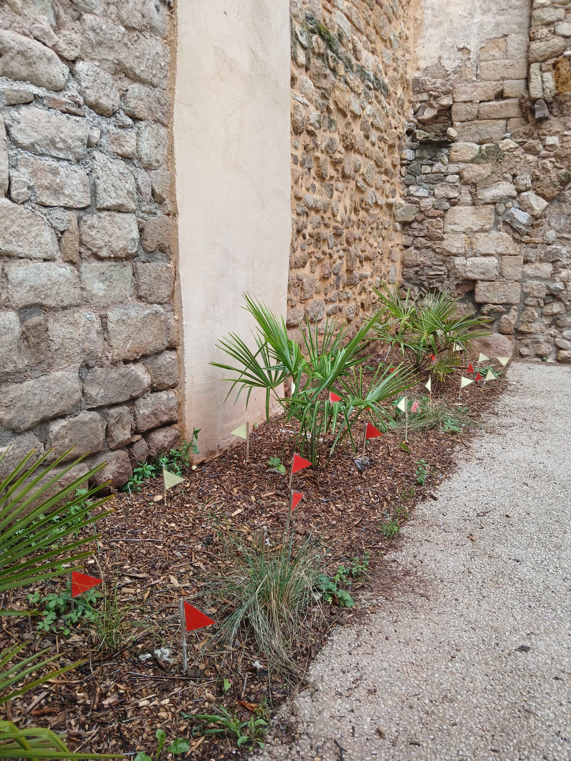 Berk ensemble vue du massif