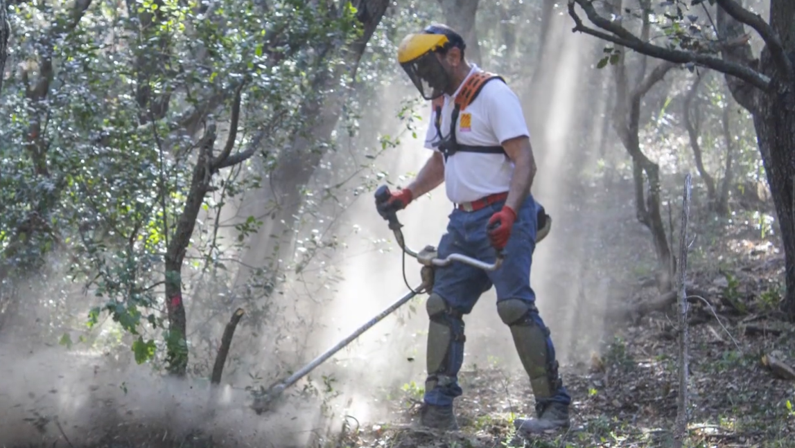 2026-02-17 14_44_41-OLD - article site - Message (HTML)