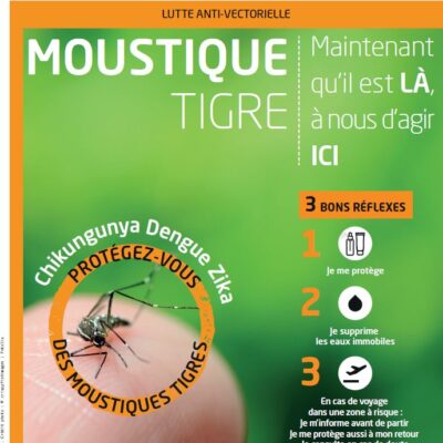 Lutter contre les nuisibles et espèces invasives : le moustique tigre est de retour